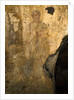 Man in a Tunic by Roman