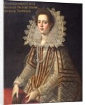 Portrait of Ginevra Frescobaldi by Florentine School