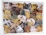 Pigs Galore by Pat Scott