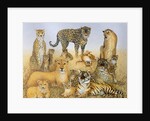 The Big Cats by Pat Scott