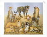 The Big Cats by Pat Scott