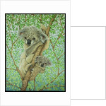 Top of the tree by Pat Scott