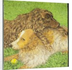 Possession by Pat Scott