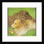 Possession by Pat Scott