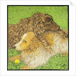 Possession by Pat Scott