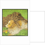 Possession by Pat Scott