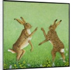 Boxing clever by Pat Scott