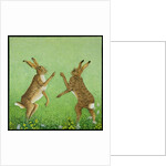 Boxing clever by Pat Scott