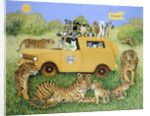 Cat Safari by Pat Scott