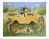 Cat Safari by Pat Scott