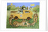 Cat Safari by Pat Scott