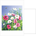 Honey Bee, Honey Bee by Pat Scott