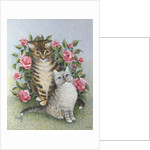 Attraction by Pat Scott