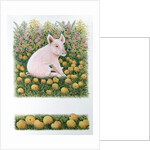 One More Apple by Pat Scott