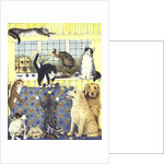 Spring Fever by Pat Scott