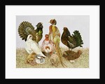 Game Birds by Pat Scott