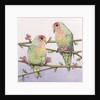 Love Birds by Pat Scott