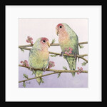 Love Birds by Pat Scott