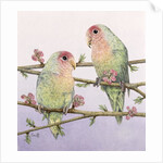 Love Birds by Pat Scott