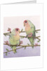 Love Birds by Pat Scott