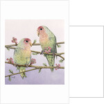 Love Birds by Pat Scott