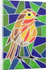 Robin on Stained Glass by Pat Scott