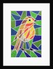 Robin on Stained Glass by Pat Scott