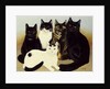 Miss Cox's Cats by Pat Scott
