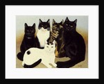 Miss Cox's Cats by Pat Scott