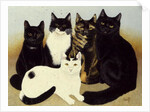 Miss Cox's Cats by Pat Scott