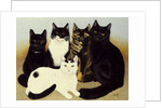 Miss Cox's Cats by Pat Scott
