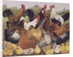 Something to Crow About by Pat Scott