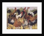 Something to Crow About by Pat Scott