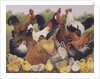 Something to Crow About by Pat Scott