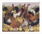 Something to Crow About by Pat Scott