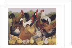 Something to Crow About by Pat Scott
