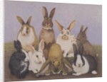 Lucky rabbits by Pat Scott
