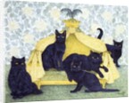 Black velvet by Pat Scott