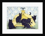 Black velvet by Pat Scott