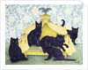 Black velvet by Pat Scott
