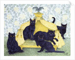 Black velvet by Pat Scott
