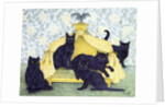 Black velvet by Pat Scott