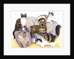 Tortoiseshell ladies by Pat Scott