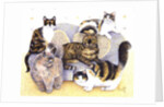 Tortoiseshell ladies by Pat Scott