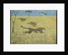 Sheer Speed by Pat Scott