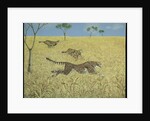 Sheer Speed by Pat Scott