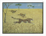 Sheer Speed by Pat Scott