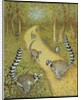 Telling Tales by Pat Scott