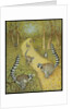 Telling Tales by Pat Scott