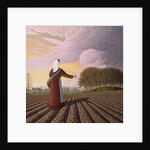 The Seeds of Hope by Peter Szumowski